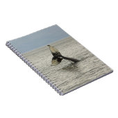 Nordamerika, USA, AK, Inside Passage. Humpback Notizblock (Rechte Seite)