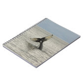 Nordamerika, USA, AK, Inside Passage. Humpback Notizblock (Linke Seite)