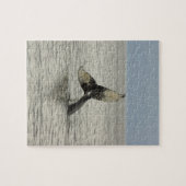 Nordamerika, USA, AK, Inside Passage. Humpback Puzzle (Horizontal)
