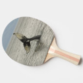 Nordamerika, USA, AK, Inside Passage. Humpback Tischtennis Schläger (Seitenansicht)