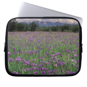 Nordamerika, USA, Alaska, Anchorage, Eklutna Laptopschutzhülle