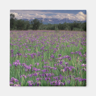 Nordamerika, USA, Alaska, Anchorage, Eklutna Magnet