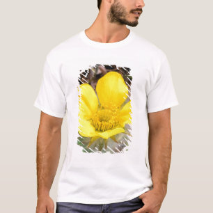 Nordamerika, USA, Alaska, Denali National T-Shirt