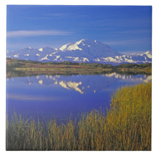Nordamerika, USA, Alaska, Denali NP, Fliese