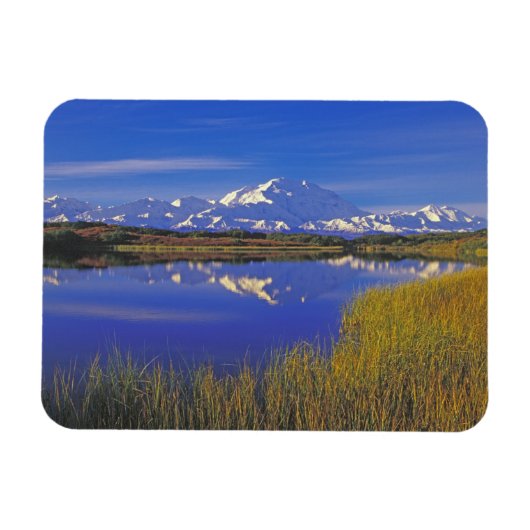 Nordamerika, USA, Alaska, Denali NP Magnet (Horizontal)