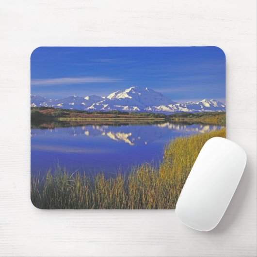 Nordamerika, USA, Alaska, Denali NP, Mousepad (Mit Mouse)