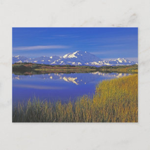 Nordamerika, USA, Alaska, Denali NP, Postkarte