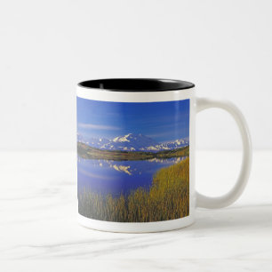 Nordamerika, USA, Alaska, Denali NP, Zweifarbige Tasse