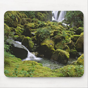 Nordamerika, USA, Alaska. Ein Wasserfall und Mousepad