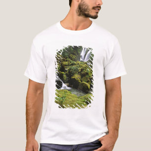 Nordamerika, USA, Alaska. Ein Wasserfall und T-Shirt