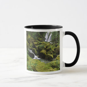 Nordamerika, USA, Alaska. Ein Wasserfall und Tasse