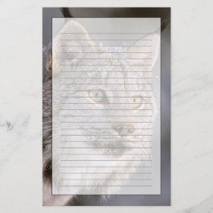 Nordamerika, USA, Alaska, Haines. Luchs (Felis lyn Briefpapier