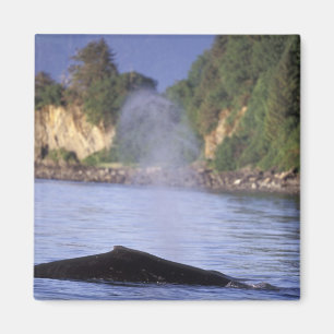 Nordamerika, USA, Alaska, innerer Durchgang Magnet