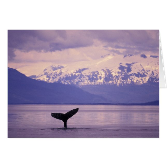 Nordamerika, USA, Alaska, Inside Passage. (Vorderseite (Horizontal))
