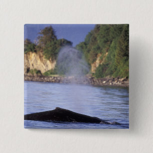Nordamerika, USA, Alaska, Inside Passage. Button