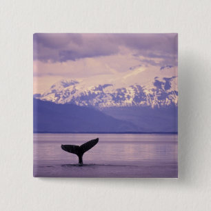 Nordamerika, USA, Alaska, Inside Passage. Button