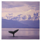 Nordamerika, USA, Alaska, Inside Passage. Fliese (Vorderseite)