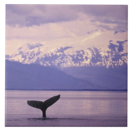 Nordamerika, USA, Alaska, Inside Passage. Fliese (Vorderseite)