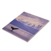 Nordamerika, USA, Alaska, Inside Passage. Fliese (Seite)