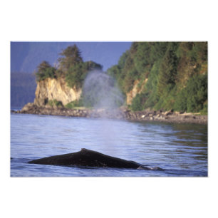 Nordamerika, USA, Alaska, Inside Passage. Fotodruck