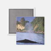 Nordamerika, USA, Alaska, Inside Passage. Magnet (Vorderseite/Rückseite)