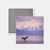 Nordamerika, USA, Alaska, Inside Passage. Magnet (Vorderseite/Rückseite)