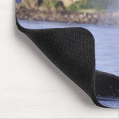Nordamerika, USA, Alaska, Inside Passage. Mousepad (Ecke)