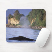 Nordamerika, USA, Alaska, Inside Passage. Mousepad (Mit Mouse)