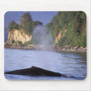 Nordamerika, USA, Alaska, Inside Passage. Mousepad
