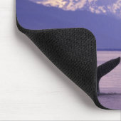 Nordamerika, USA, Alaska, Inside Passage. Mousepad (Ecke)