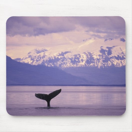 Nordamerika, USA, Alaska, Inside Passage. Mousepad (Vorne)
