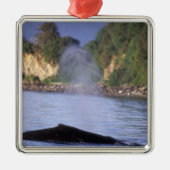 Nordamerika, USA, Alaska, Inside Passage. Ornament Aus Metall (Vorne)