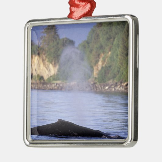 Nordamerika, USA, Alaska, Inside Passage. Ornament Aus Metall (Links)