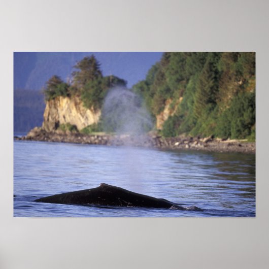 Nordamerika, USA, Alaska, Inside Passage. Poster (Vorne)