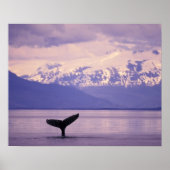 Nordamerika, USA, Alaska, Inside Passage. Poster (Vorne)