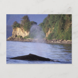 Nordamerika, USA, Alaska, Inside Passage. Postkarte