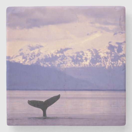 Nordamerika, USA, Alaska, Inside Passage. Steinuntersetzer (Vorderseite)