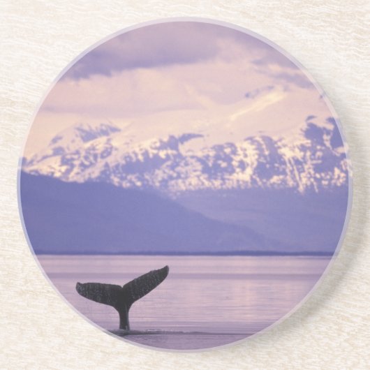 Nordamerika, USA, Alaska, Inside Passage. Untersetzer (Vorne)