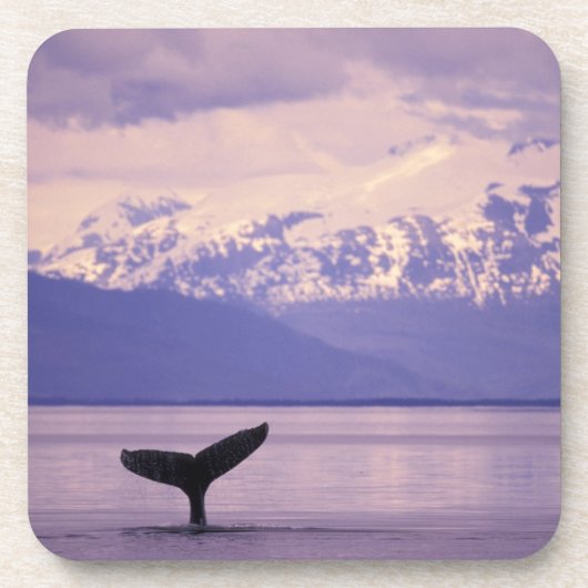 Nordamerika, USA, Alaska, Inside Passage. Untersetzer (Vorderseite)