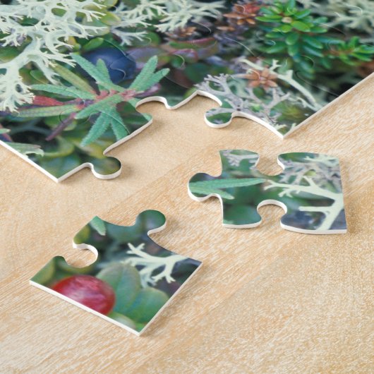Nordamerika, USA, Alaska, Landschaft, Beeren Puzzle (Seite)