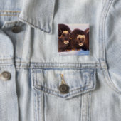 Nordamerika, USA, Alaska, Polarkreis, Button (Beispiel)