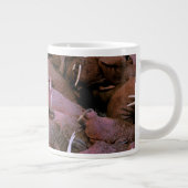 Nordamerika, USA, Alaska, Yukon Delta National Jumbo-Tasse (Rechts)