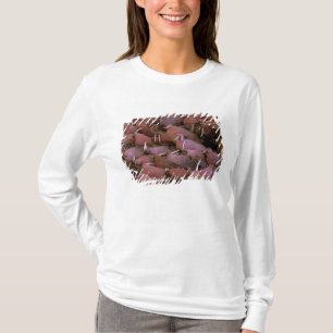 Nordamerika, USA, Alaska, Yukon-Delta-National T-Shirt