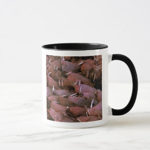 Nordamerika, USA, Alaska, Yukon-Delta-National Tasse