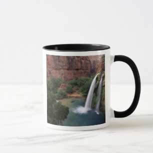 Nordamerika, USA, Arizona, Havasu Canyon, Tasse