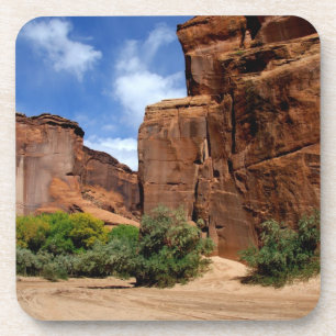 Nordamerika, USA, Arizona, Navajo India 5 Getränkeuntersetzer