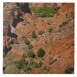 Nordamerika, USA, Arizona, Navajo India Fliese