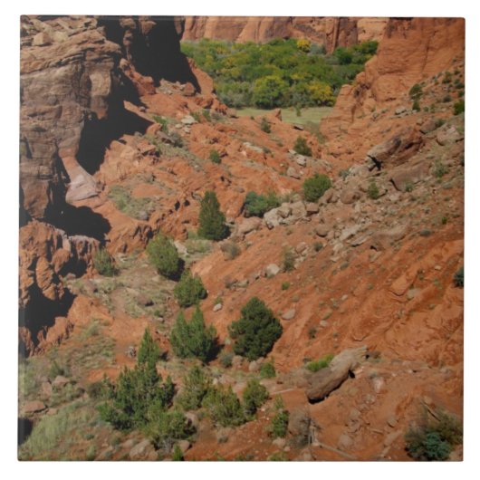 Nordamerika, USA, Arizona, Navajo India Fliese (Vorderseite)