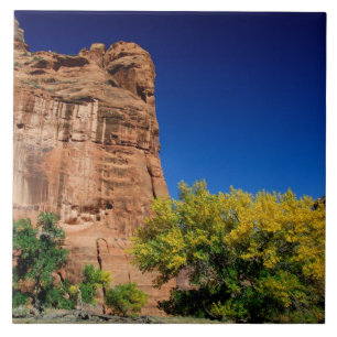 Nordamerika, USA, Arizona, Navajo Indianer 3 Fliese