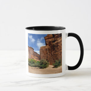 Nordamerika, USA, Arizona, Navajo-Indianer 5 Tasse